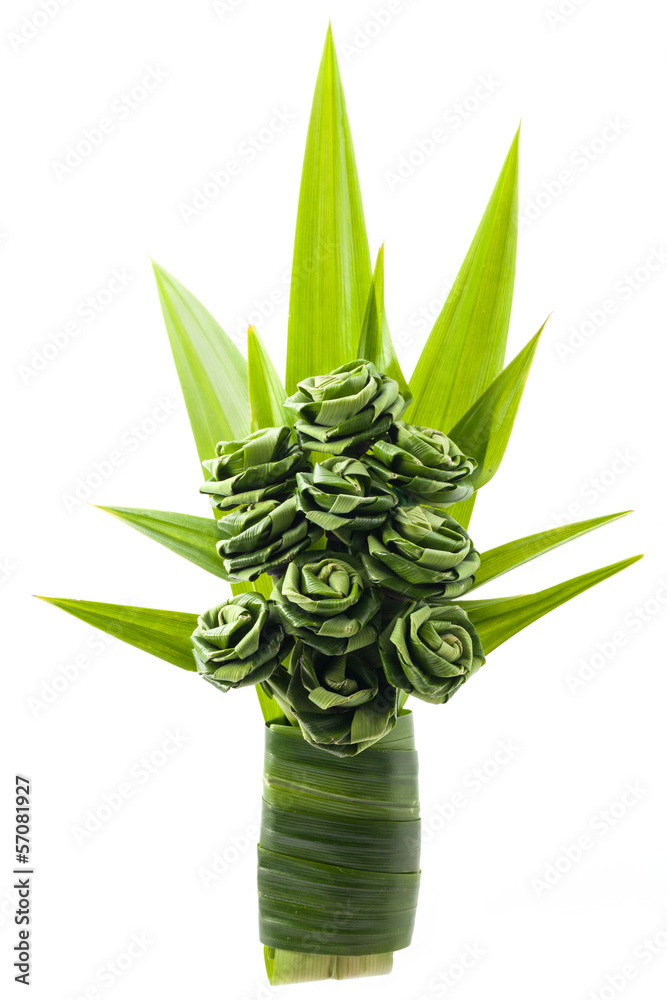 Fototapeta premium Rose of Pandan leaf