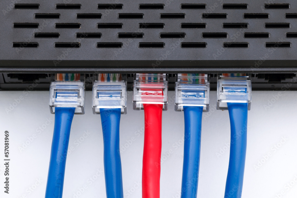 LAN network switch with ethernet cables plugged in foto de Stock | Adobe  Stock