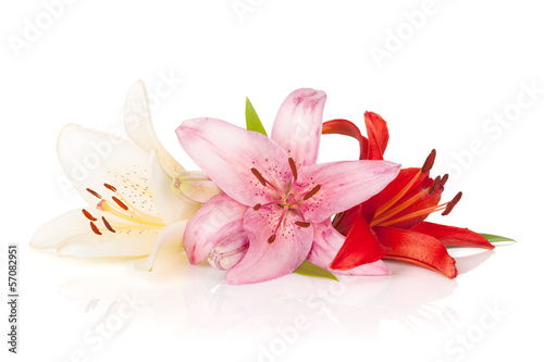 Fototapeta Naklejka Na Ścianę i Meble -  Colorful lily flowers