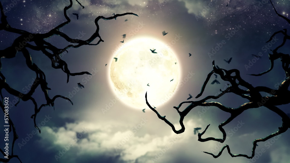 Flying bats in the light of spooky Moon - LOOP