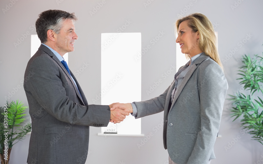 Pleased businessman shaking the hand of a content businesswoman Pleased businessman shaking the hand of a content businesswoman