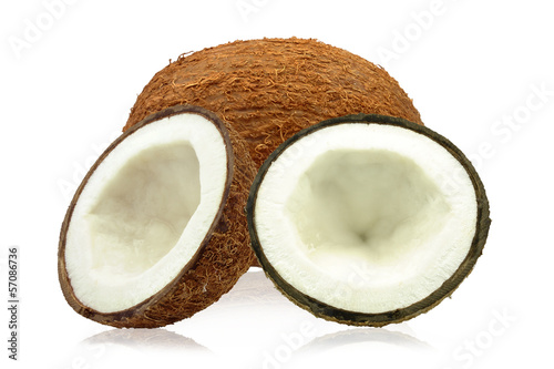 coconuts on a white background