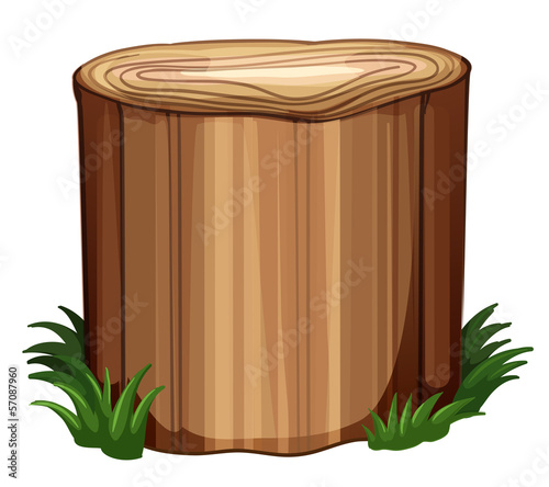 A stump with weeds