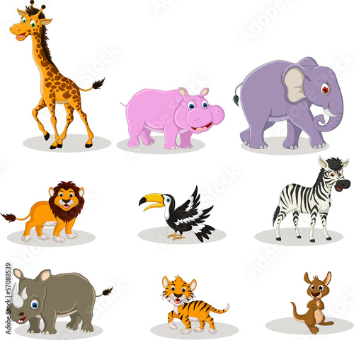 vector illustration of cute animal wildlife cartoon collection