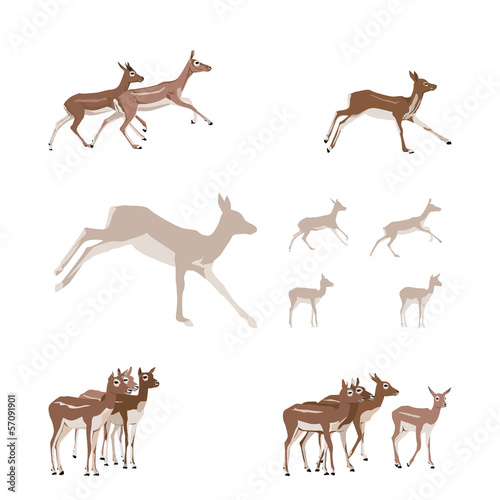 Antelope illustration set - design elements