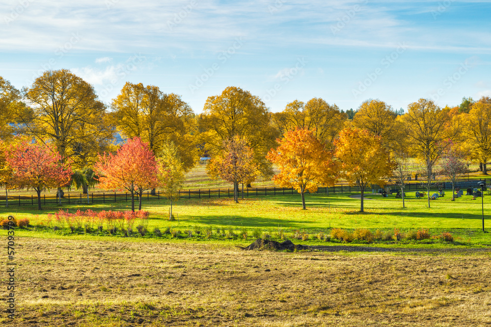 Autumn in Sweden