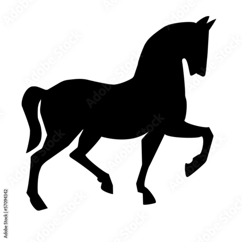 silhouette of horse on a white background