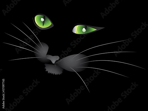 Black cat face