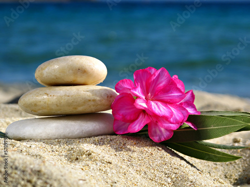 Canvas Print zen stones