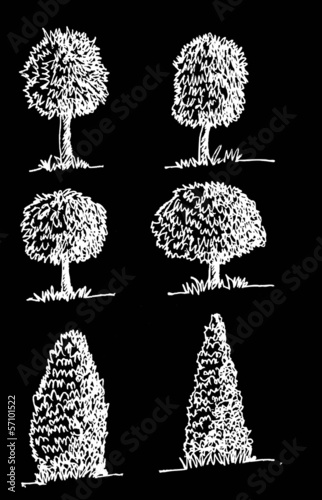 Vector trees with leaves   black silhouettes