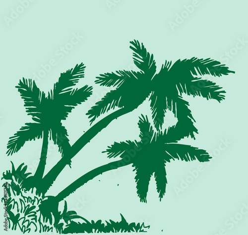 palm tree Tropical palm trees  black silhouettes