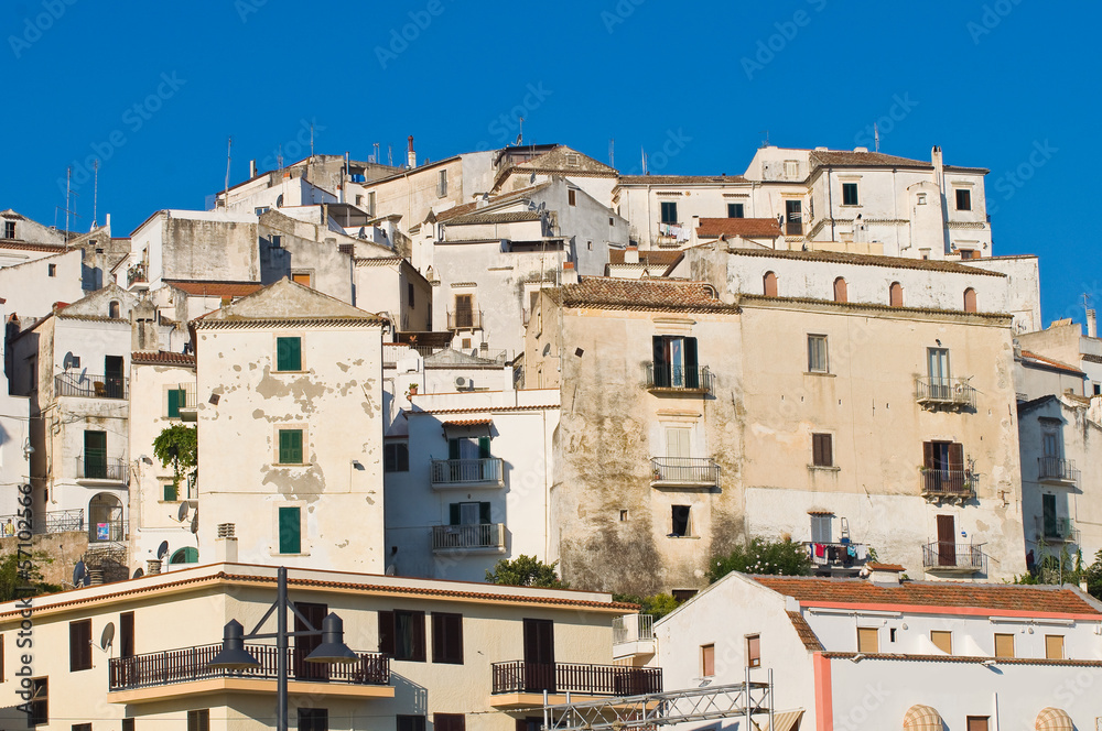 Panoramic view of Rodi Garganico. Puglia. Italy.