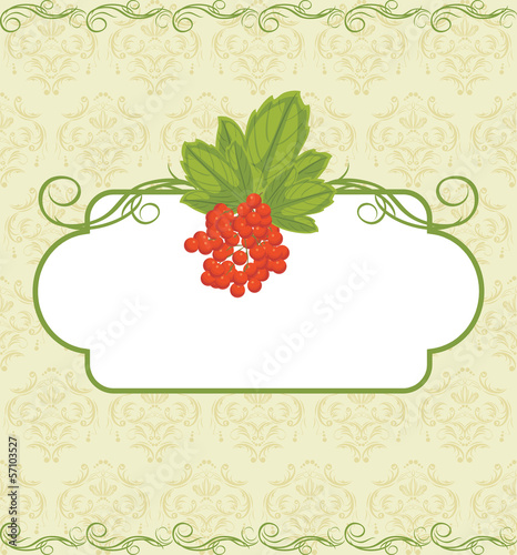 Decorative frame with red berries bunch.Ornamental background