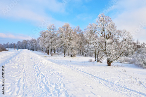 Snowy landscape in the Narew river valley. Beautiful winter trai