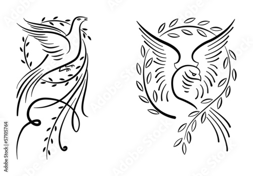 doves