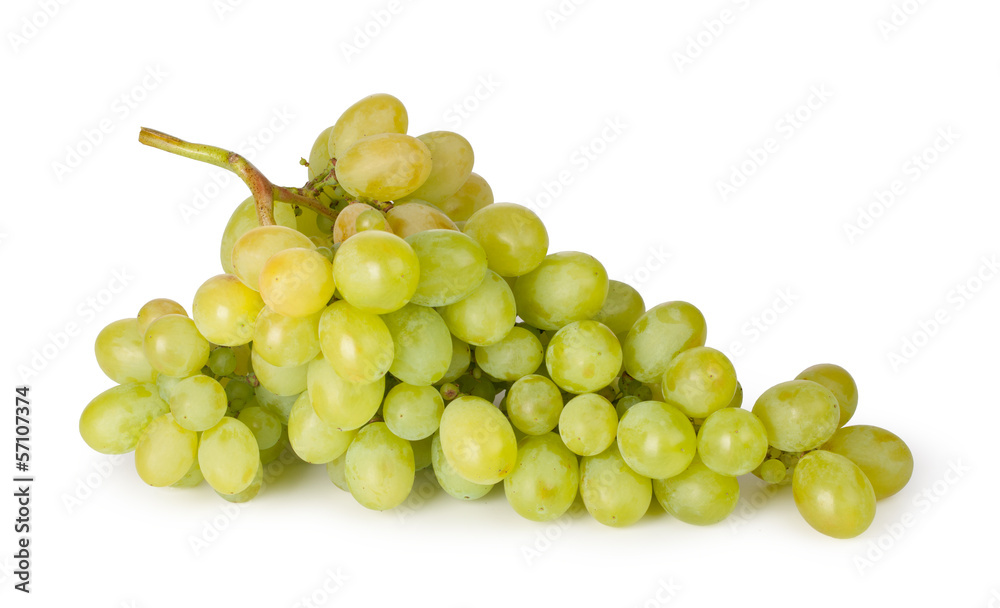 Branch of green grapes