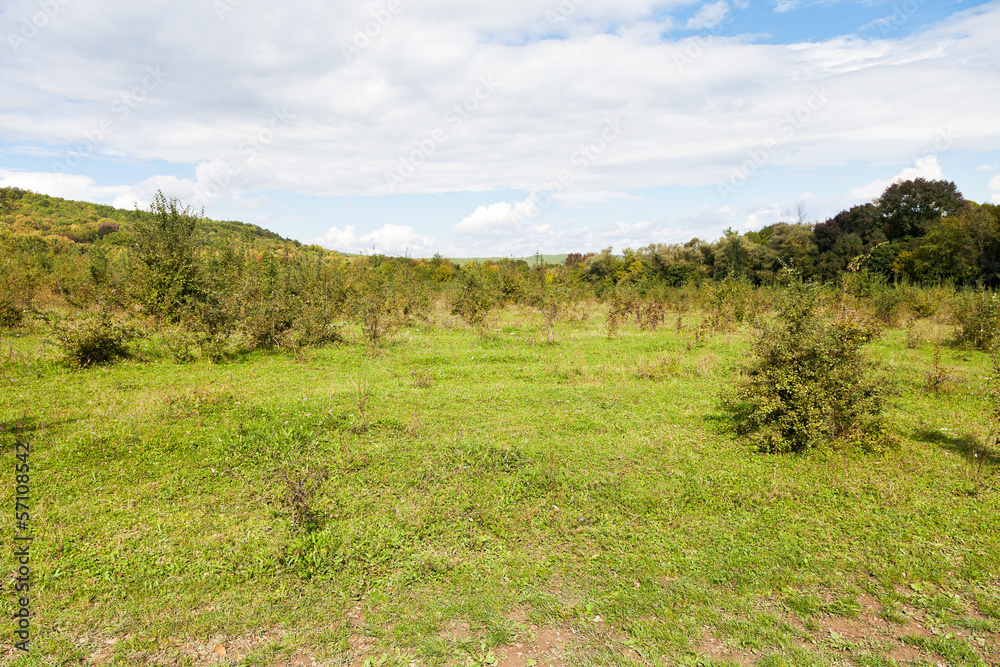 Fototapeta premium green clearing at foot of caucasian mountains