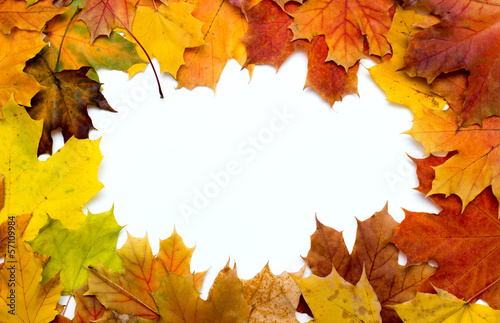 Frame composed of colorful autumn leaves