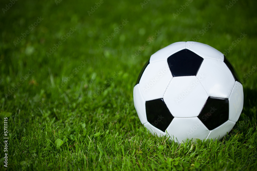soccer ball on the grass soccer ball on the grass
