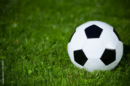 soccer ball on the grass © nikkytok
