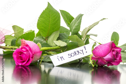 Roses with I'm sorry message