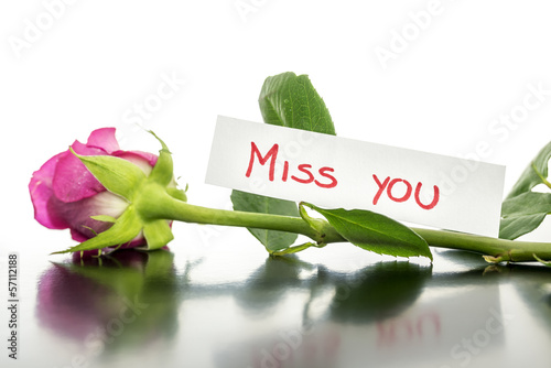 Rose with Miss you card
