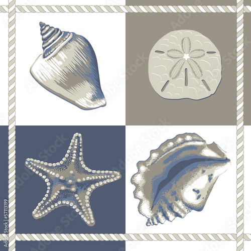 Conchas e estrelas Azul
