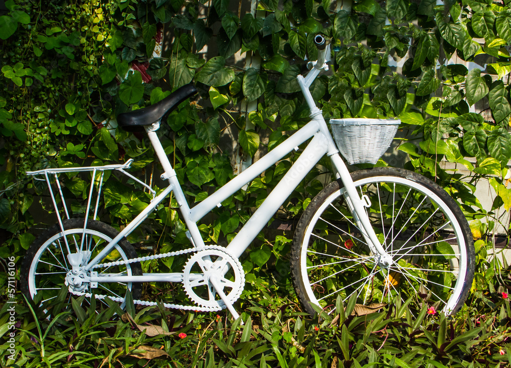 White bicycle