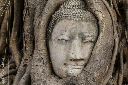 Buddha head in banyan tree © leungchopan