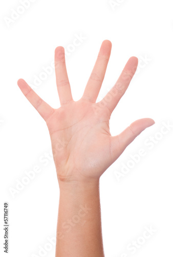 Female hand palm isolated