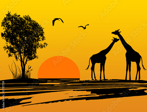 Photography Two giraffes silhouette in Africa