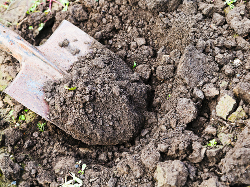 фотографія digging with spade