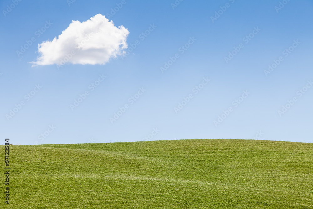 Obraz premium Green field in Tuscany