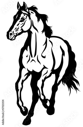 running horse black white
