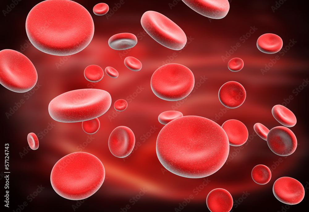 Blood Cell Blood Cell