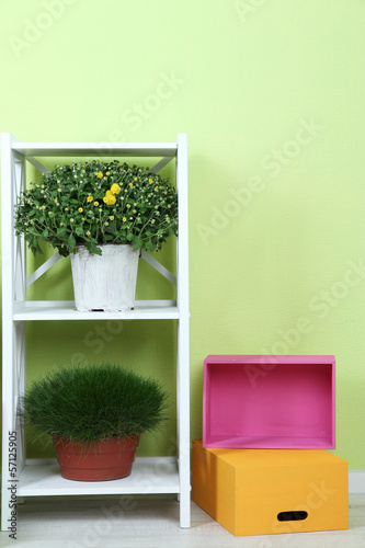 Flowers in pots with color boxes on shelves on wall background