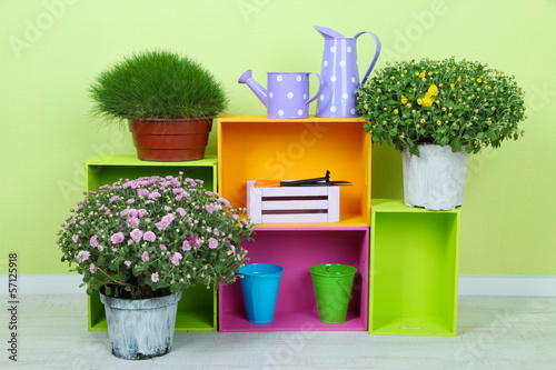 Fototapeta Naklejka Na Ścianę i Meble -  Flowers in pots with color boxes on wall background