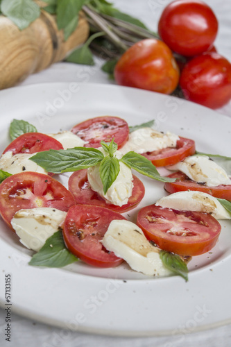 Closeup of Caprese Salad