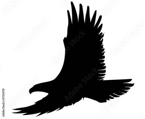 eagle silhouette
