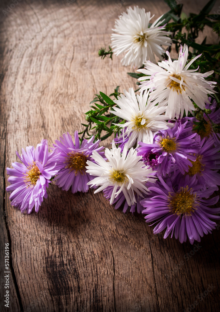 Obraz premium asters on a wooden table
