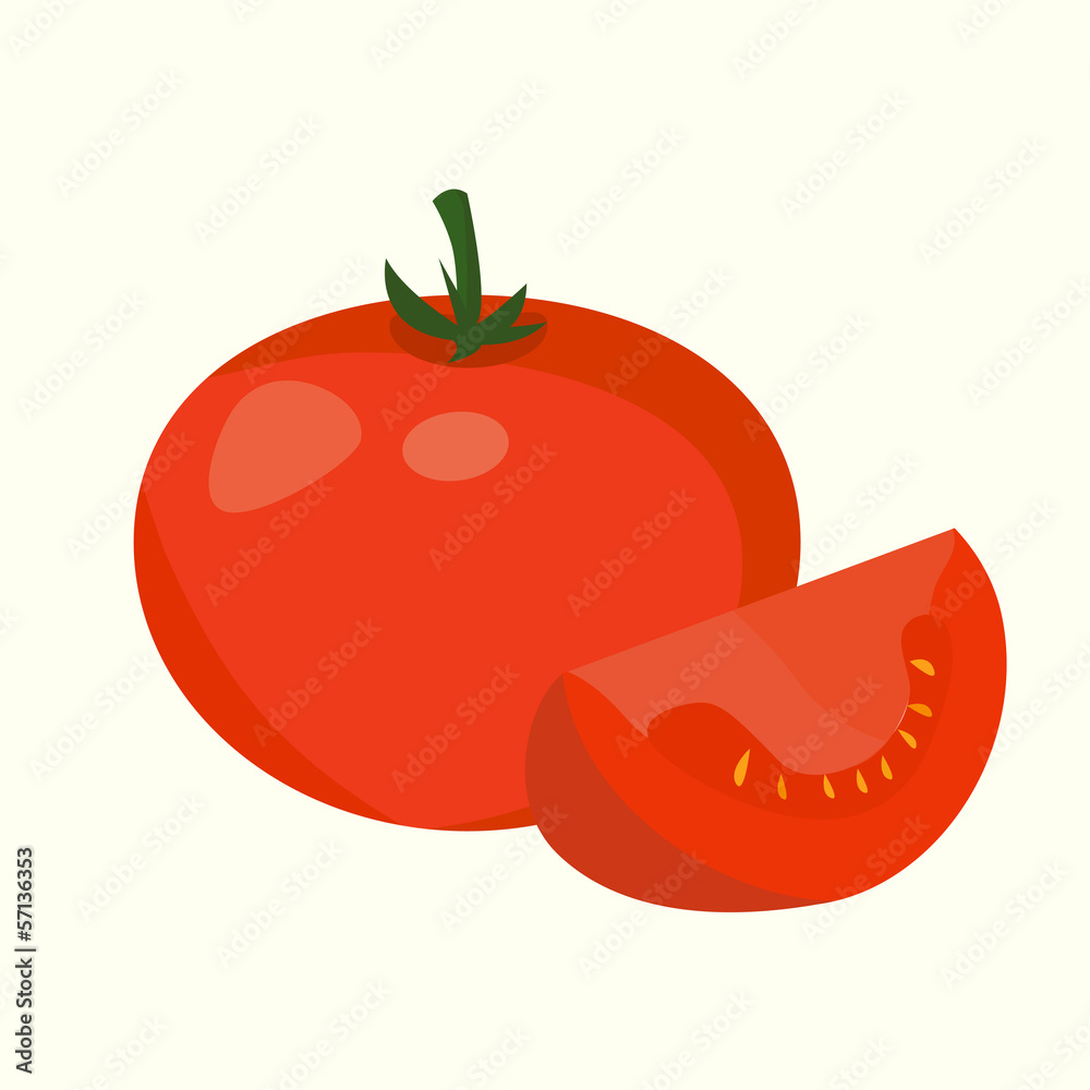 Realistic tomato illustration. Eps 10 Vector. Realistic tomato illustration. Eps 10 Vector.