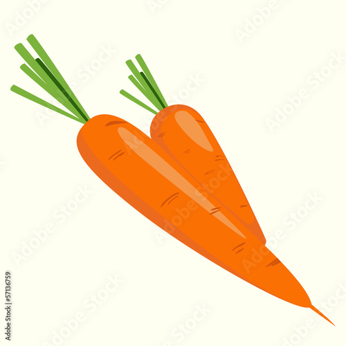 Carrots, vector