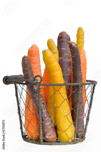 carrots of different colors