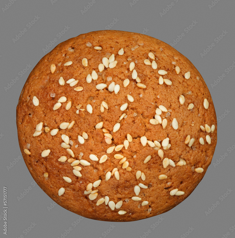 Biscuit Biscuit