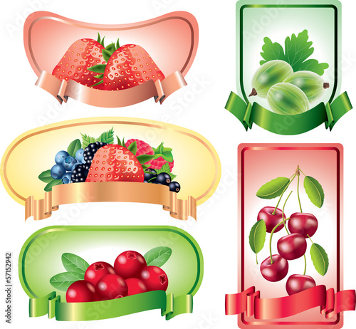 Berries labels vector set