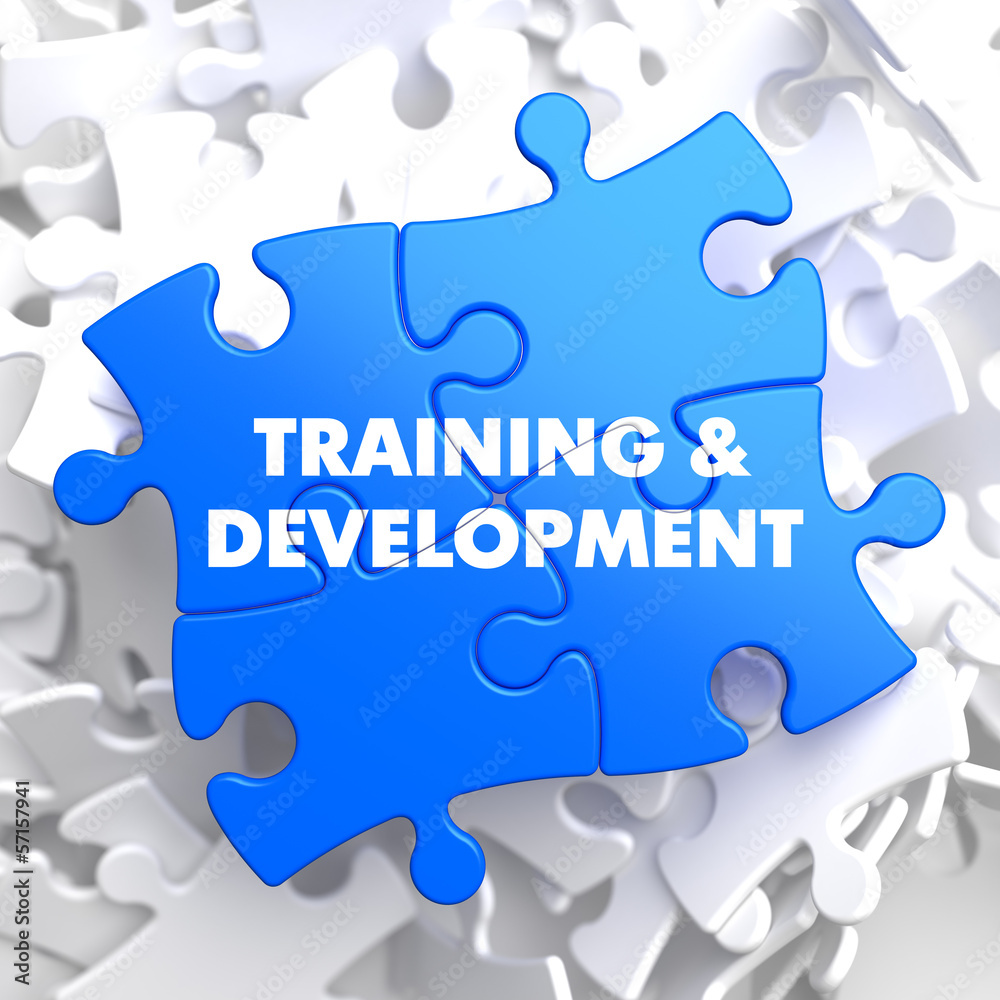 Training and Development. Educational Concept. Training and Development. Educational Concept.