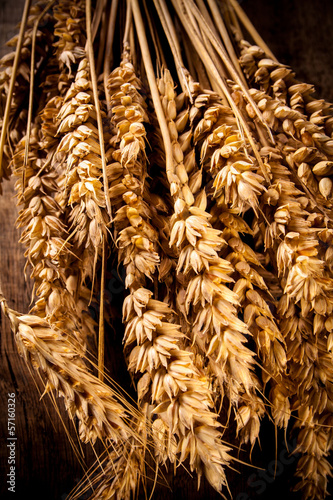 corn on the wooden table