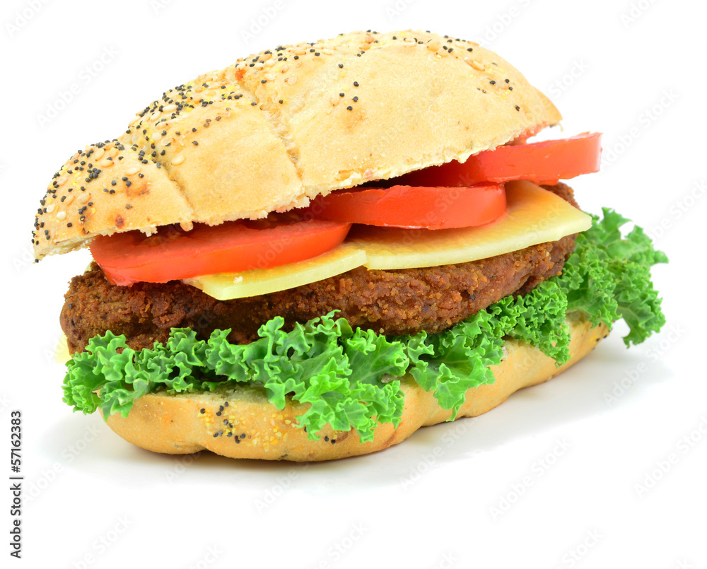 Isolated Chicken Burger