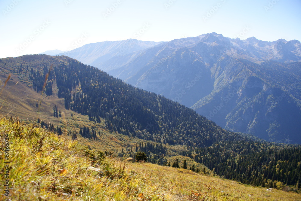 The slope of the mountains, forested, Abkhazia