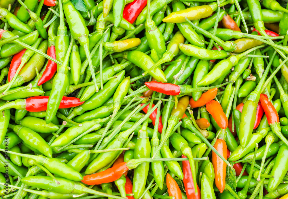 Chilli Chilli